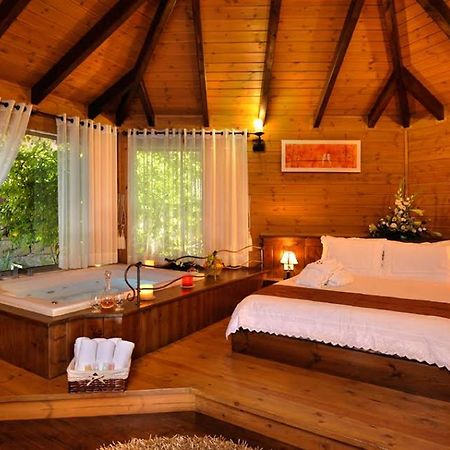 Talia Cabin Guest & Spa Rosh Pinna Esterno foto